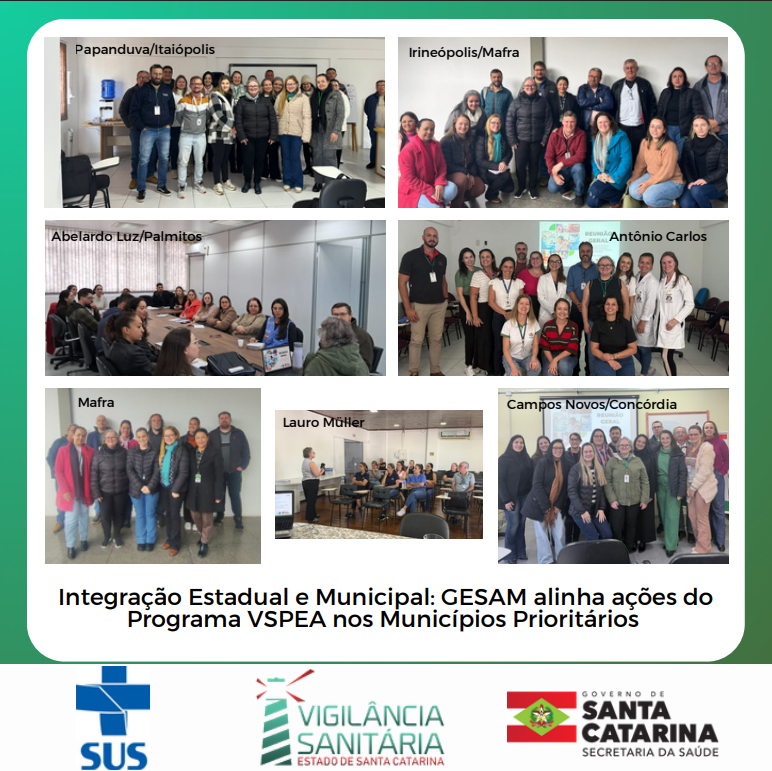 Integração estadual e municipal: GESAM alinha ações do problema VSPEA nos municipios prioritarios