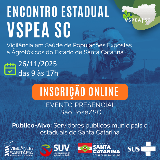 noticias divs