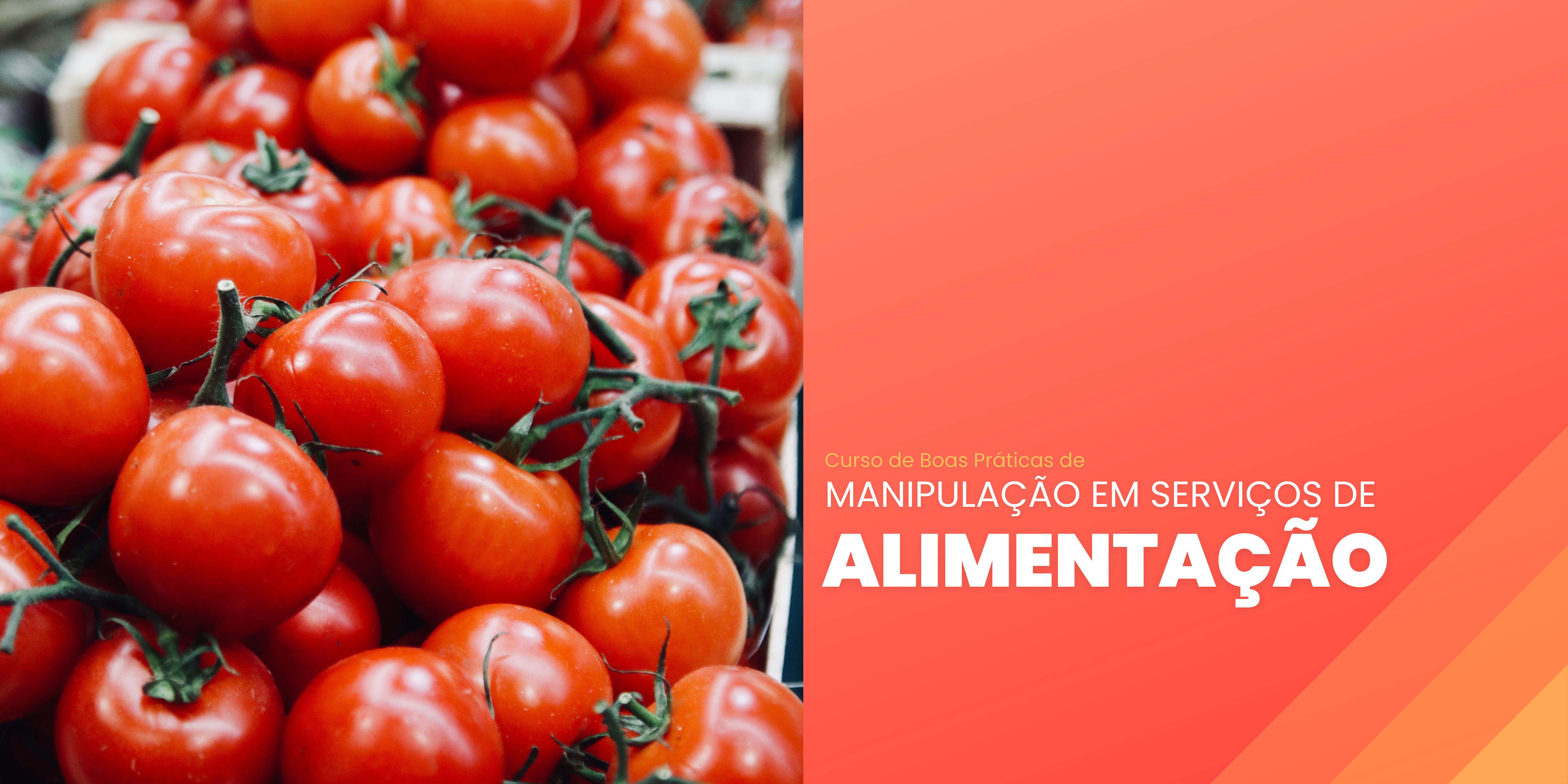 ANVISA comunica que Curso de Boas Práticas de Manipulação em Serviços de Alimentação está de volta